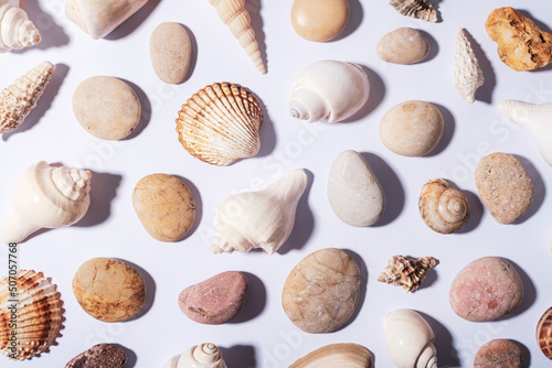 Natural seashells and sea stones pattern background, texture