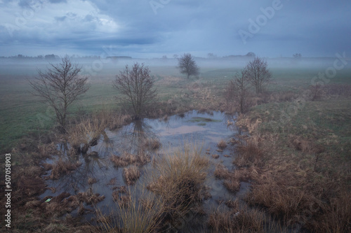 Pond on a meadow in Wegrow County, Masovia region of Poland