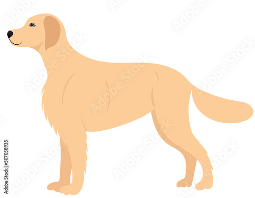 dog stands in flat design isolated  vector