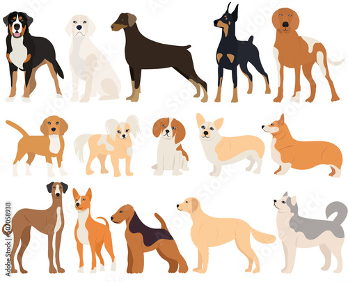 dogs set  collection in flat design isolated  vector