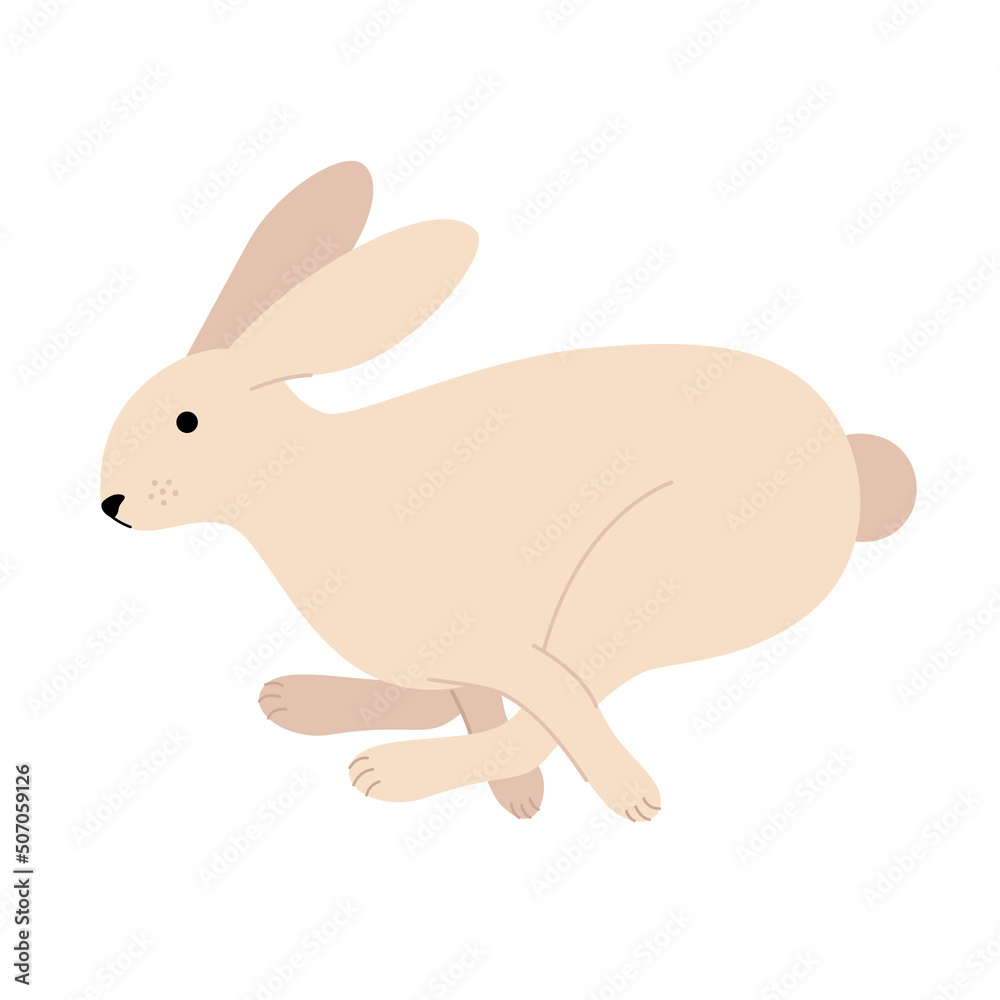 Fototapeta premium Jumping hare. Cute eared rabbit runs. Vector illustration in a flat style.