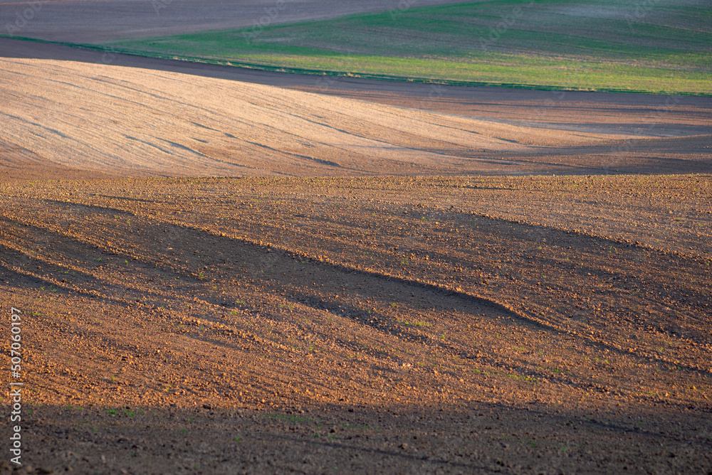 Agricultural field, fallow sloped farmland in Hungary