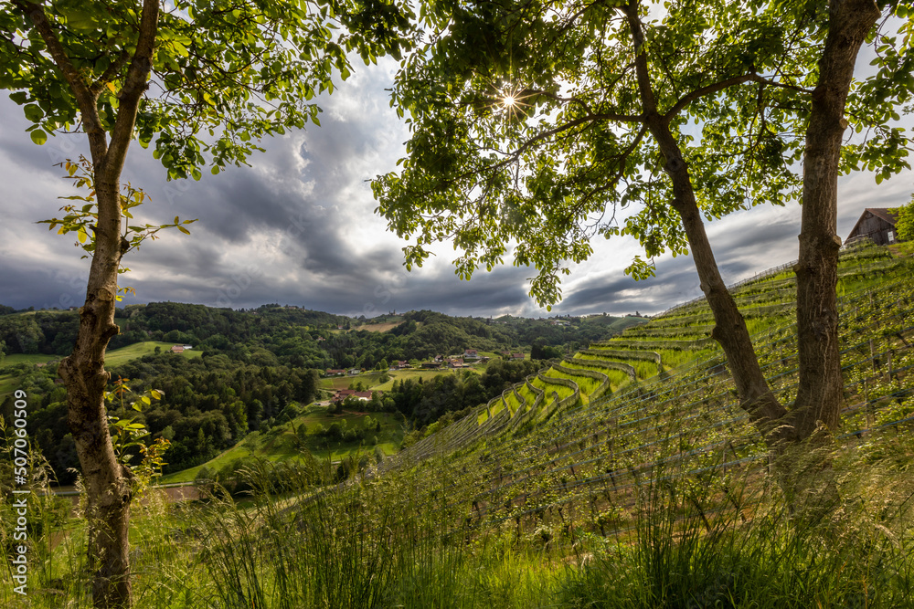 clouds floating across the sky above vineyard near Heimschuh, Kitzeck in southern Styria, Austria