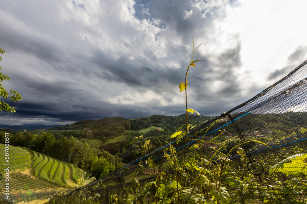 clouds floating across the sky above vineyard near Heimschuh, Kitzeck in southern Styria, Austria