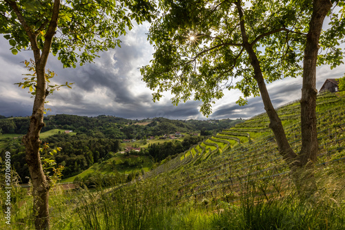 Obraz na płótnie clouds floating across the sky above vineyard near Heimschuh, Kitzeck in southern Styria, Austria w salonie