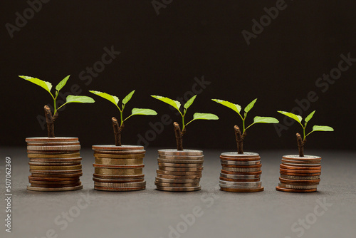 Tree growing on a pile of coins money. Business investment profit and dividend money from saving concept