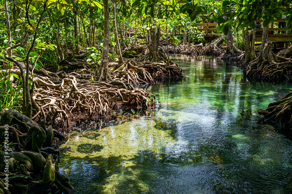 Khlong Nam Sai or Emerald Pool, Krabi Province, is a tourist attraction in Thailand. Khlong Nam Sai or Emerald Pool, Krabi Province, is a tourist attraction in Thailand.