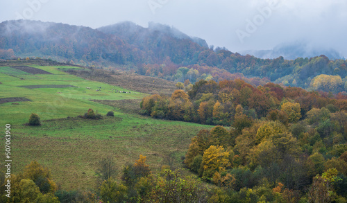 Cloudy and foggy day autumn mountains scene. Peaceful picturesque traveling, seasonal, nature and countryside beauty concept scene. Carpathian Mountains, Ukraine. © wildman
