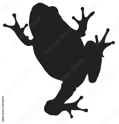Vector-Frog Silhouette