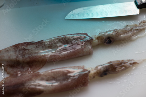 Raw Squid and Knife