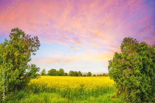 Valokuva Colorful landscape with canola fields