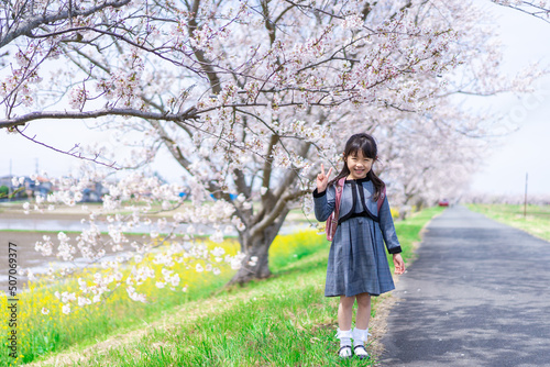 入学式のためにおめかしをした女の子 photo