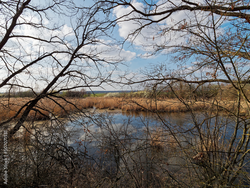 Naturschutzgebiet Altmain bei Grafenrheinfeld, Landkreis Schweinfurt, Unterfranken, Franken, Bayern, Deutschland Naturschutzgebiet Altmain bei Grafenrheinfeld, Landkreis Schweinfurt, Unterfranken, Franken, Bayern, Deutschland