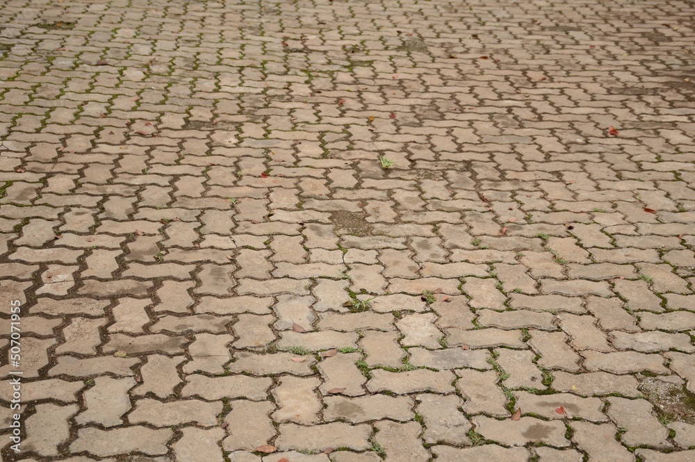 close up dry brick floor texture in garden