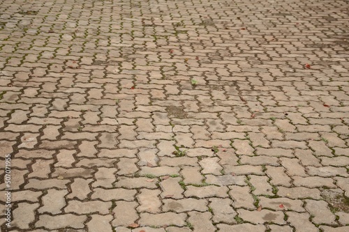 close up dry brick floor texture in garden