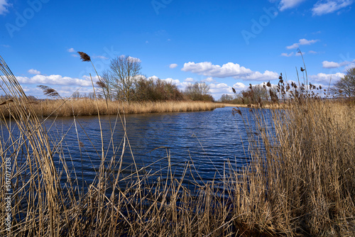 Gro  er W  rthsee und Sichelsee im Naturschutzgebiet Mainaue bei Augsfeld  Stadt Ha  furt  Landkreis Hassberge  Unterfranken  Franken  Bayern  Deutschland