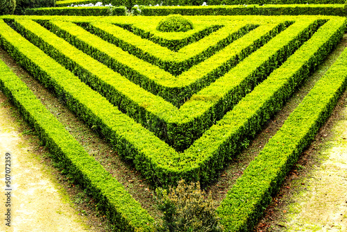 Valokuva Topiary art garden under the sun