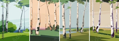 Collection of landscapes with birches. Beautiful natural sceneries in portrait format.
