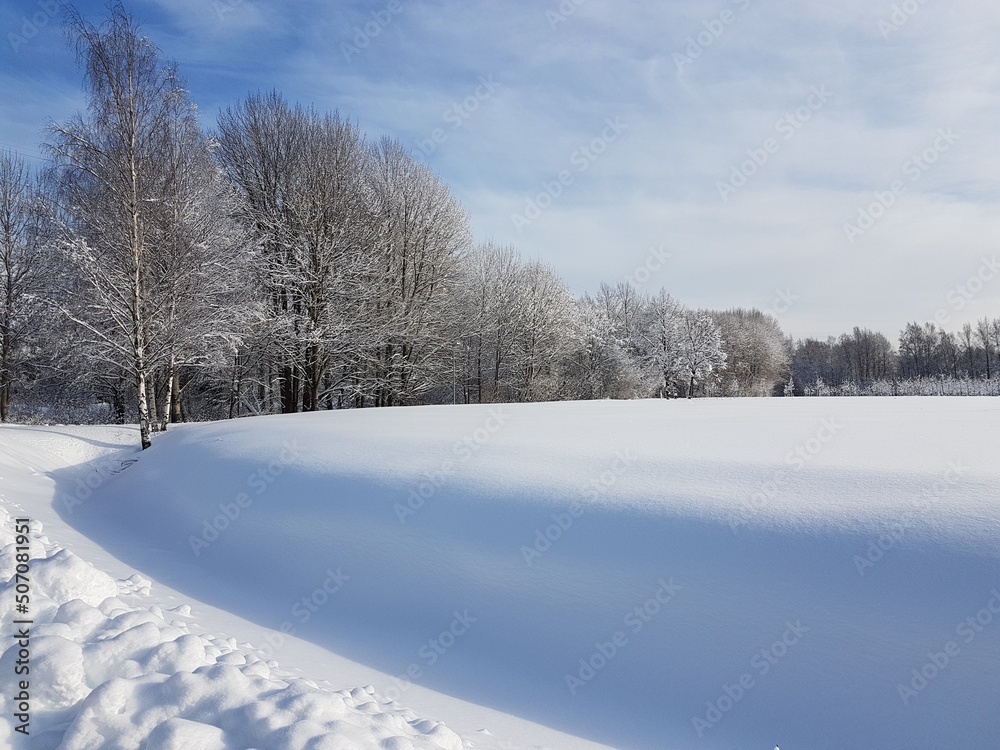Beautiful thick and even snow formation on a field with snow-covered trees. Beautiful thick and even snow formation on a field with snow-covered trees.
