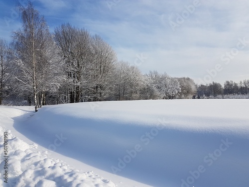 Beautiful thick and even snow formation on a field with snow-covered trees. © Jarmo