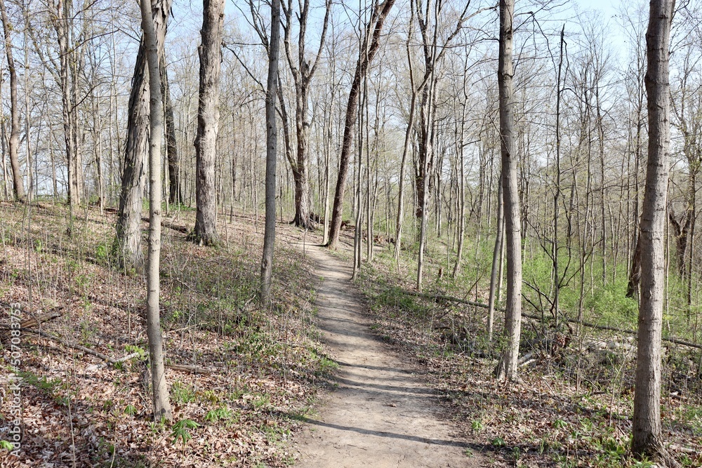 The empty dirt hiking trail in the forest on a sunny day.