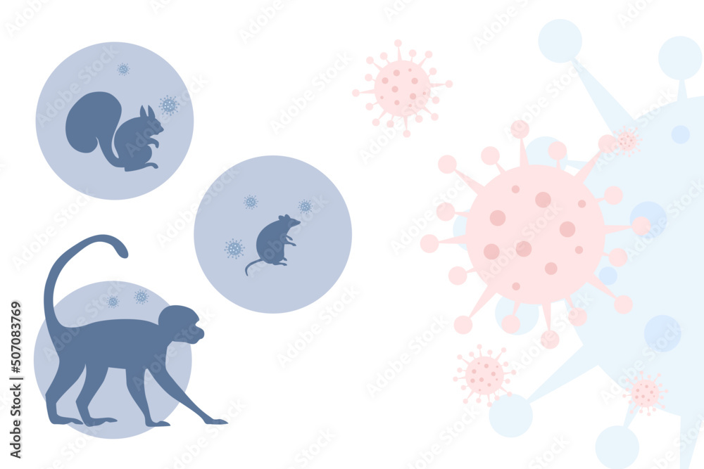 Monkey pox outbreak Monkey pox outbreak