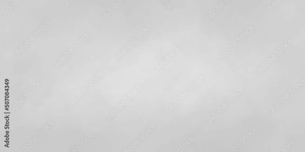 soft textured on wet white paper background .Monochrome black and white ink effect water color illustration. Abstract grunge grey shades watercolor background .paper texture design in vector .