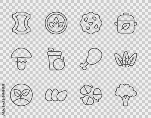 Set line Sprout, Broccoli, Cookie or biscuit, Chicken egg, Leather, Fresh smoothie, Acorn and Leaf icon. Vector