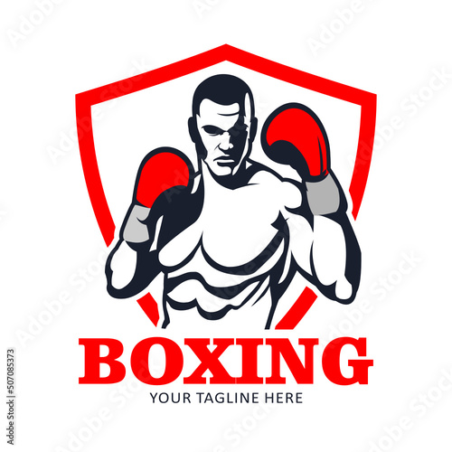 boxing logo
