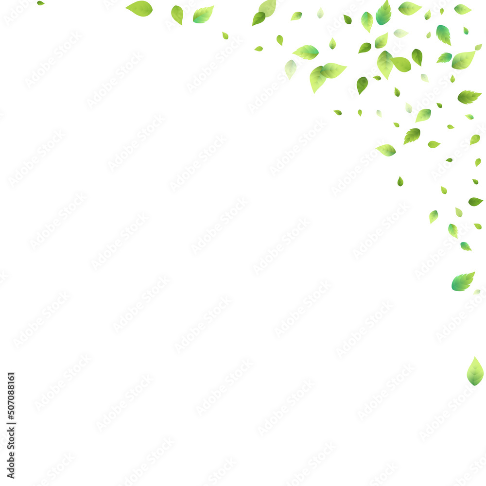 Leaves Green Falling Flying Foliage Leaf Tea Mint Leaves Green Falling Flying Foliage Leaf Tea Mint