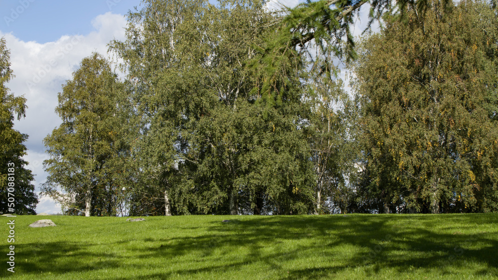 Park with green grass in jyväskylä, Finland Park with green grass in jyväskylä, Finland