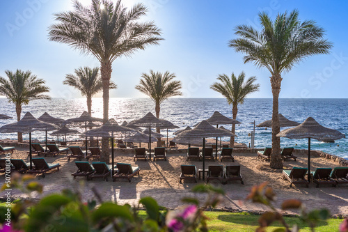 Beach view in Sharm El Sheikh. Egypt. photo