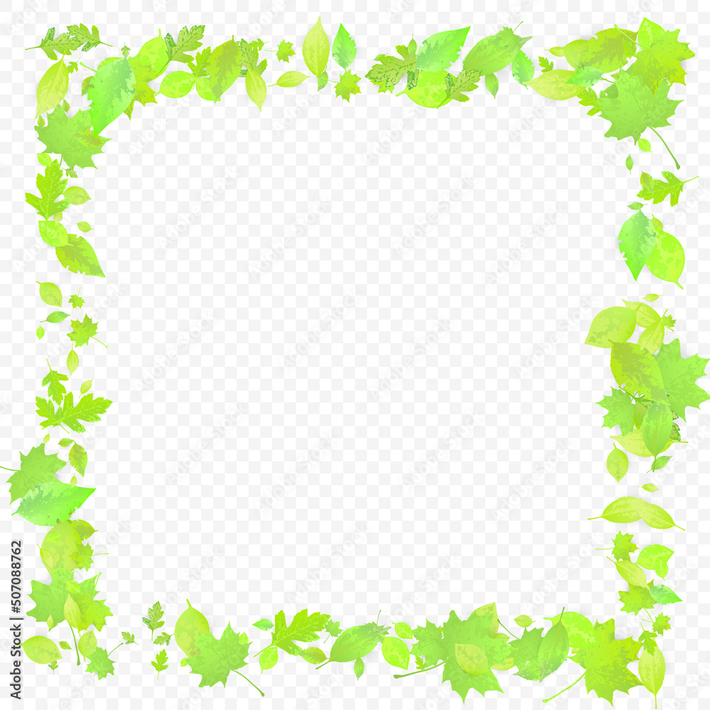 Leaves Falling Spring Flying Foliage Green Leaf Leaves Falling Spring Flying Foliage Green Leaf
