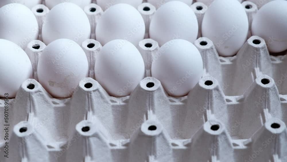 hand takes white eggs from the tray. Fresh chicken eggs at a poultry farm
hand takes white eggs from the tray. Fresh chicken eggs at a poultry farm