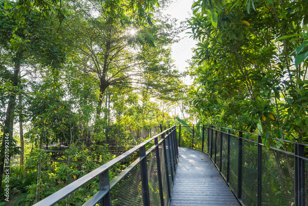 Titiwangsa Range located at the highest point of the Titiwangsa Lake Park, it planted with forest trees, tree ferns, spikemoss and grasses. Titiwangsa Range located at the highest point of the Titiwangsa Lake Park, it planted with forest trees, tree ferns, spikemoss and grasses.