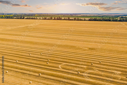 Rolls of haystacks on the field as agriculture harvest concept. Golden hay bales in countryside. top view. Photo with a drone.