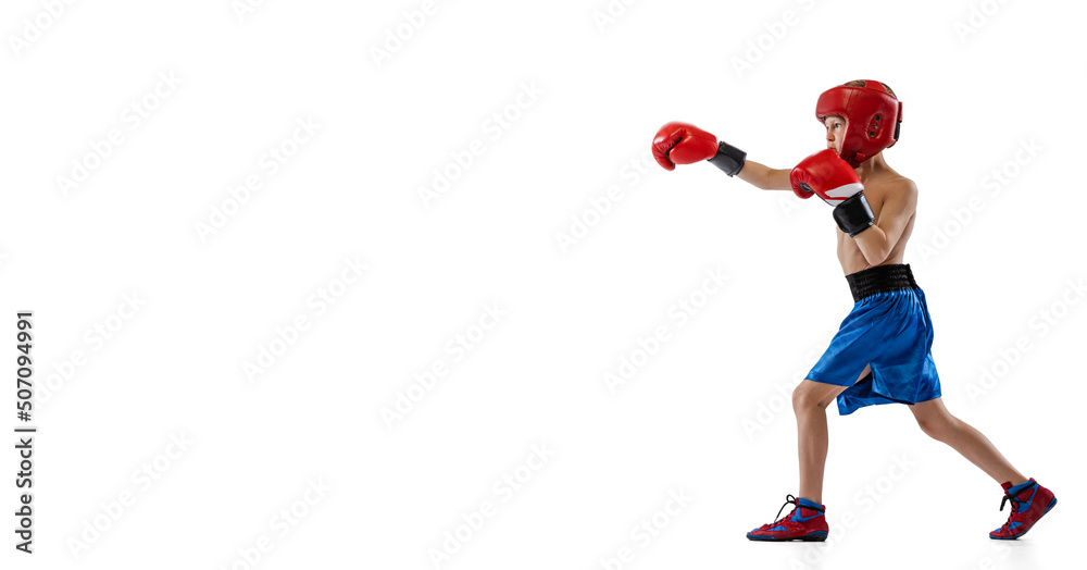 Portrait of little boy, kid in boxer gloves and shorts training isolated on white studio background. Concept of sport, movement, studying, achievements lifestyle.