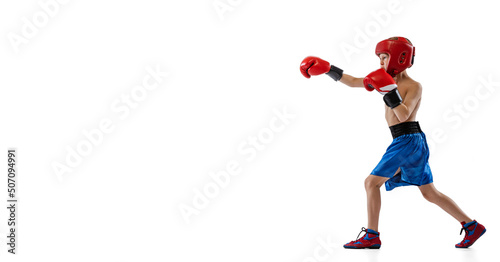 Portrait of little boy, kid in boxer gloves and shorts training isolated on white studio background. Concept of sport, movement, studying, achievements lifestyle.