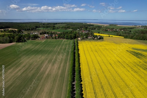 Vogelsang am Stettiner Haff 2022 photo