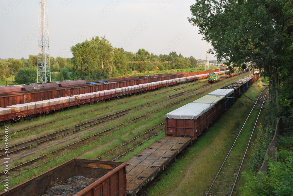railway carriages of various types on a siding, tracks, tracks, brush