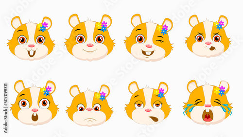kawaii emotions on a funny hamster face
