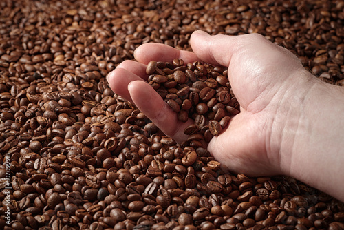 Closeup of a man s hand holding a lot of roasted coffee beans