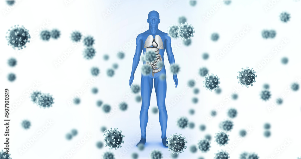 Image of falling viruses cells over human body model Image of falling viruses cells over human body model