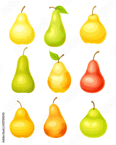 Whole Ripe Pear Pomaceous Fruit as Organic Garden Crop Vector Set