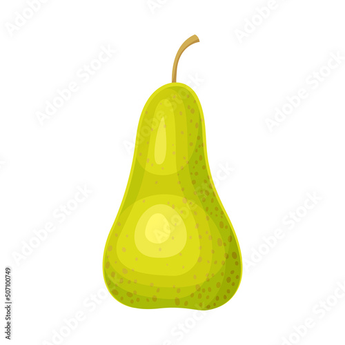 Whole Ripe Green Pear Pomaceous Fruit as Organic Garden Crop Vector Illustration
