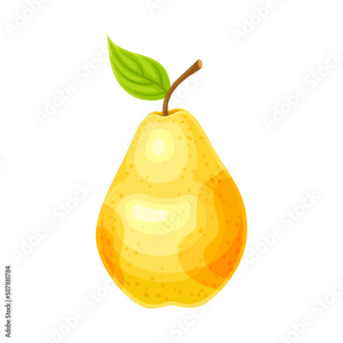 Whole Ripe Yellow Pear Pomaceous Fruit as Organic Garden Crop Vector Illustration