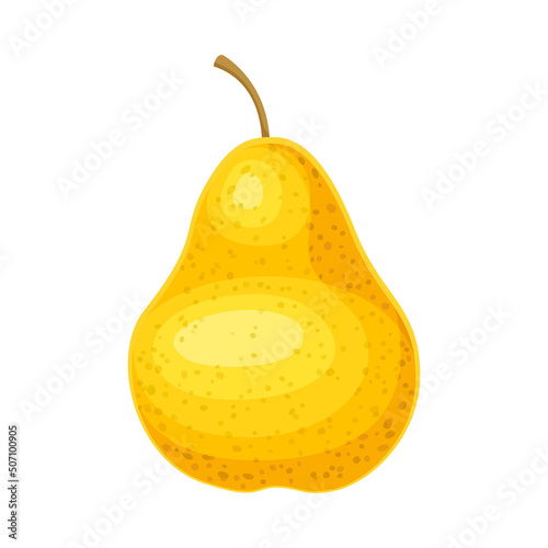 Whole Ripe Yellow Pear Pomaceous Fruit as Organic Garden Crop Vector Illustration