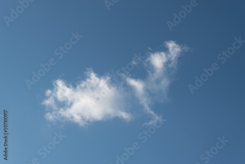 Cloud in blue sky  cloud in shape of fairy tale creature  dragon or bird