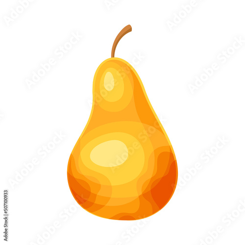 Whole Ripe Pear Pomaceous Fruit as Organic Garden Crop Vector Illustration