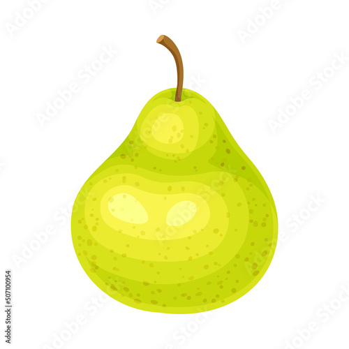 Whole Ripe Green Pear Pomaceous Fruit as Organic Garden Crop Vector Illustration